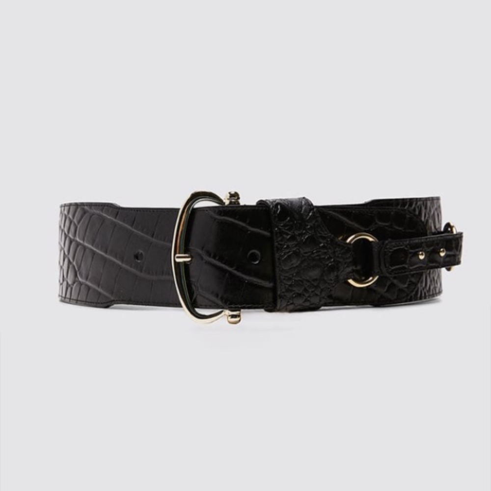 NWT Zara Leather Sash Belt